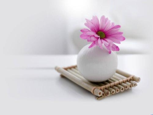 喜歡優雅裝修風格？選擇【樱花视频在线观看黄日本樱花黄色视频仿古磚】